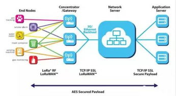 LoRaWAN 讓萬物互聯(lián)的“隱形橋梁”與其在互聯(lián)網(wǎng)數(shù)據(jù)服務(wù)中的關(guān)鍵角色